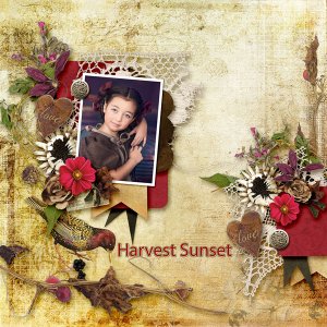 Harvest Sunset