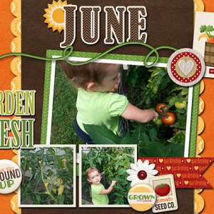 Len's Garden - June 2017 Calendar Page Top