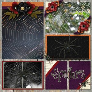 Spiders