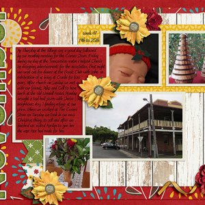 Project 52 Week 47 2015