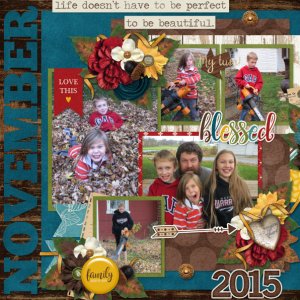 My November 2015 {left}