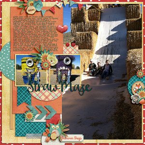 Straw Maze