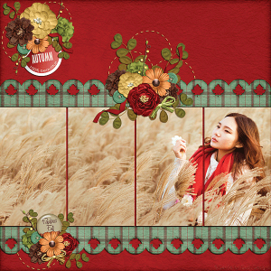 Fall Favorites