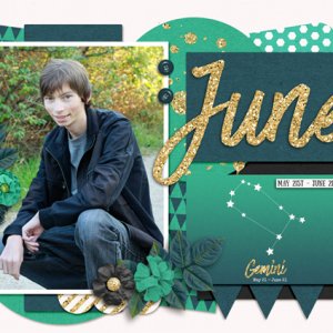 2017 Calendar - June