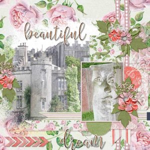 Beautiful Irish Castle Dream