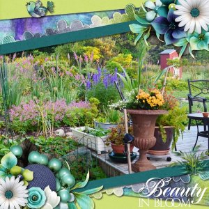 Summer Garden