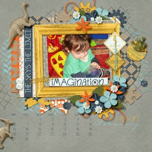 Imagination