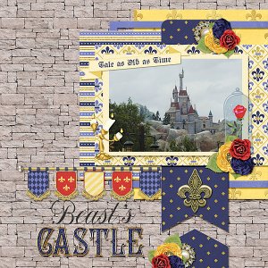 Beast's Castle
