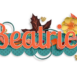 November Signature Challenge