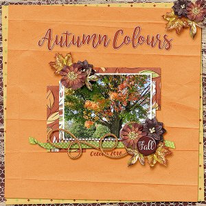 Autumn Colours