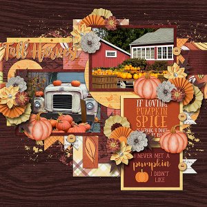 Fall Harvest