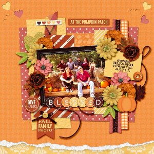 Pumpkin Patch 2016