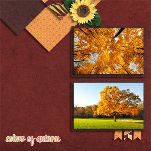 Colors of autumn