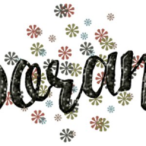 November 2016 Siggy
