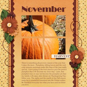 November Harvest