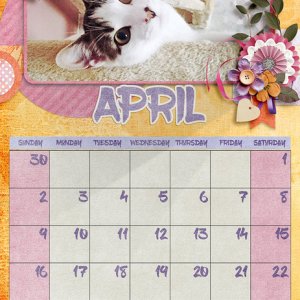 calendar page