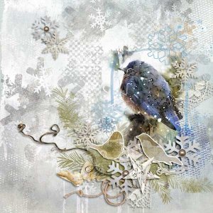 Snow Bird