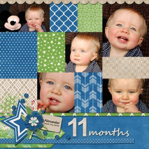 11 Months