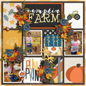 Pumpkin Patch