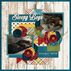 Font Challenge November