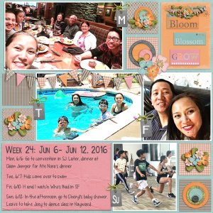 Week 24: Jun 6- Jun 12, 2016