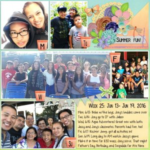 Week 25: Jun 13- Jun 19, 2016