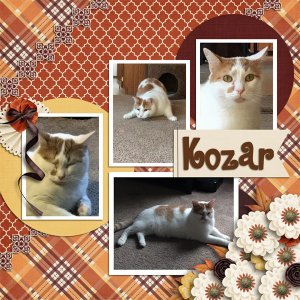 Kozar