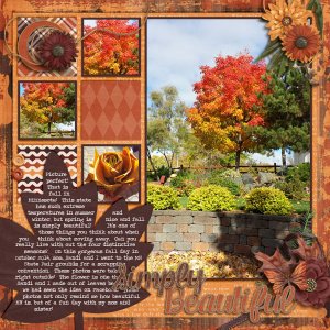 DFD_GiveThanks--LRT-fall-glory