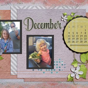 December in the Low Desert