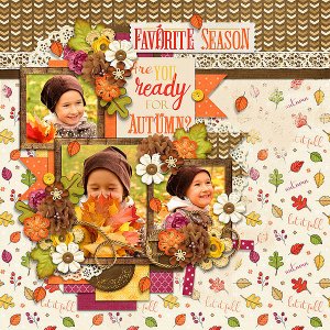 Fall Into Autumn