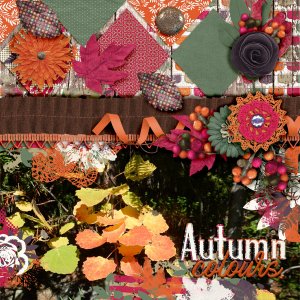 Autumn-colours1