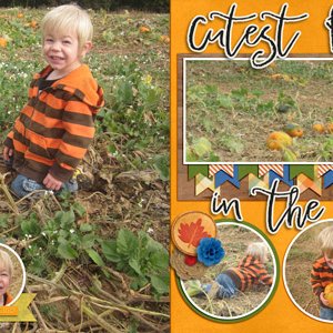 cutest pumpkin