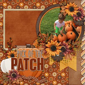 Pick-Of-The-Patch3