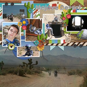 Mojave Desert