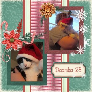Hats for Christmas