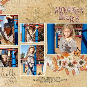 Conquering The Monkey Bars