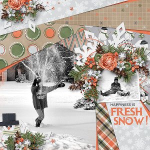 Fresh Snow