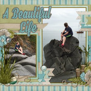 A Beautiful Life