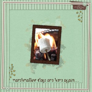 Marshmallow Days