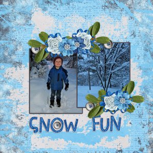 Snow Fun
