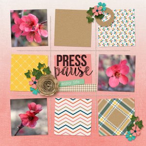 Press Pause and enjoy life