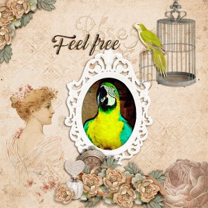 Feel-free2