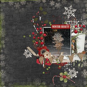 winter beauty