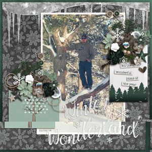 Winter Wonderland