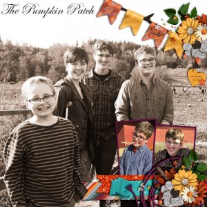 The Pumpkin Patch