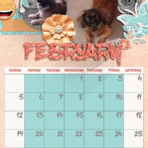 February calendar
