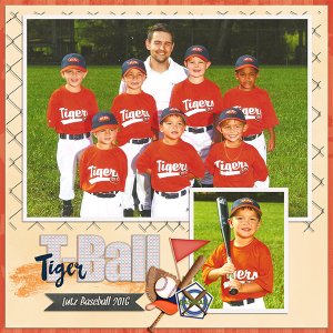 Tiger T-Ball - official photos