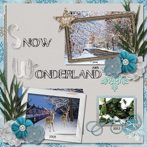 Snow Wonderland