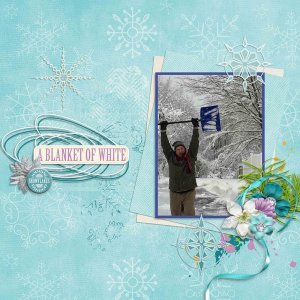 Snow Hero