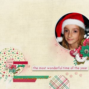 The Most WOnderful Time of the Year